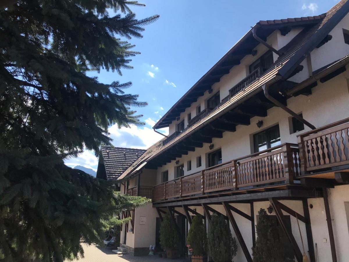 Pensiunea Haiduc Sacele Brasov מראה חיצוני תמונה