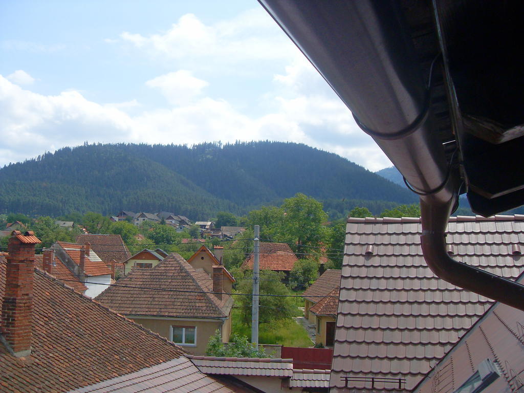 Pensiunea Haiduc Sacele Brasov מראה חיצוני תמונה